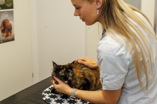 Eva paraveterinair en manager - werk waar we trots op zijn