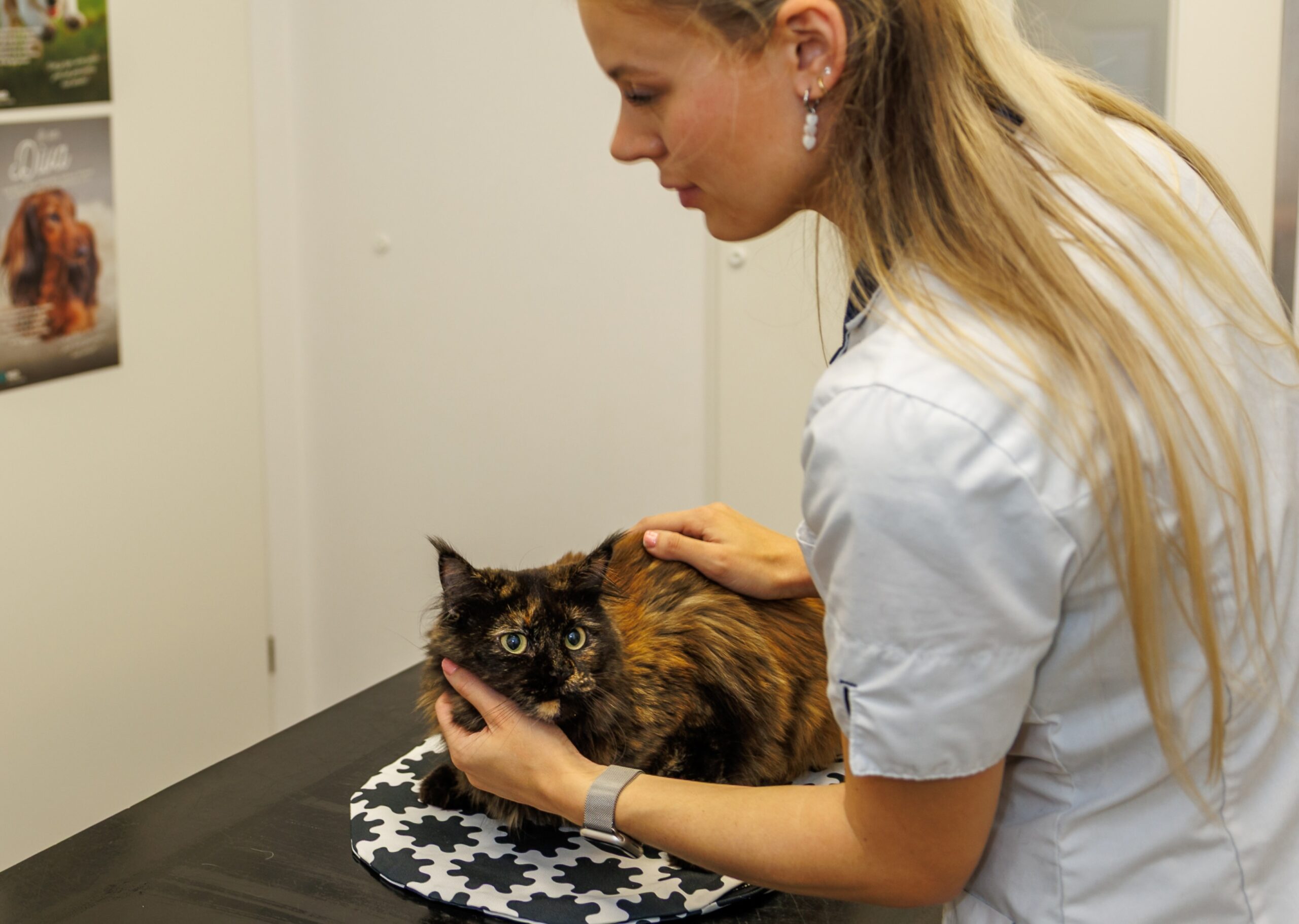 Eva paraveterinair en manager - werk waar we trots op zijn