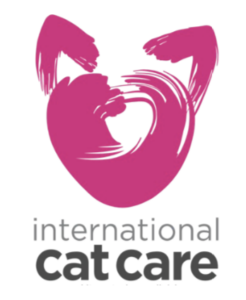 Blog Cat friendly clinic