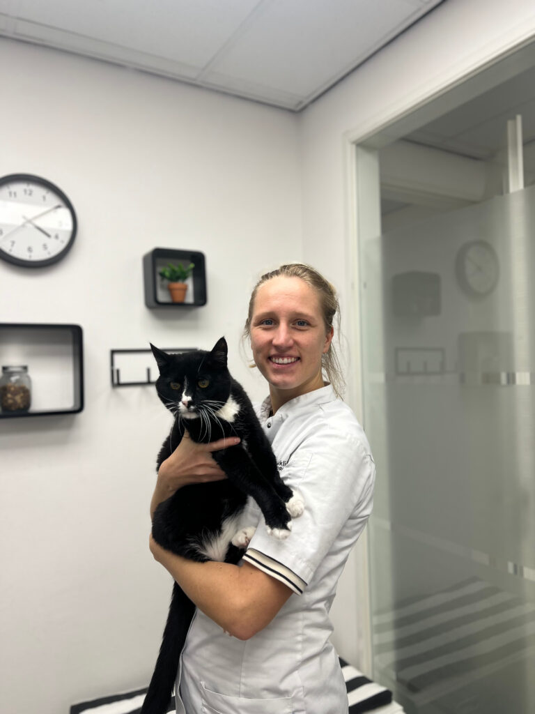 Blog - welkom dierenarts Marlijn