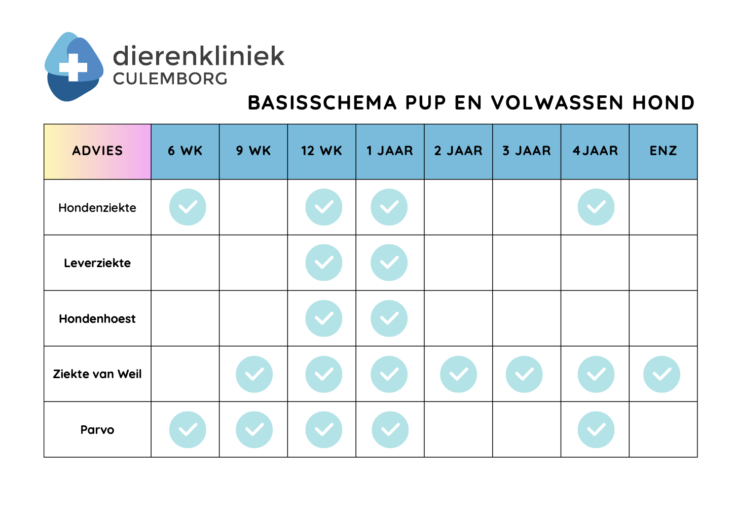 vaccinatieschema pup en volwassen hond