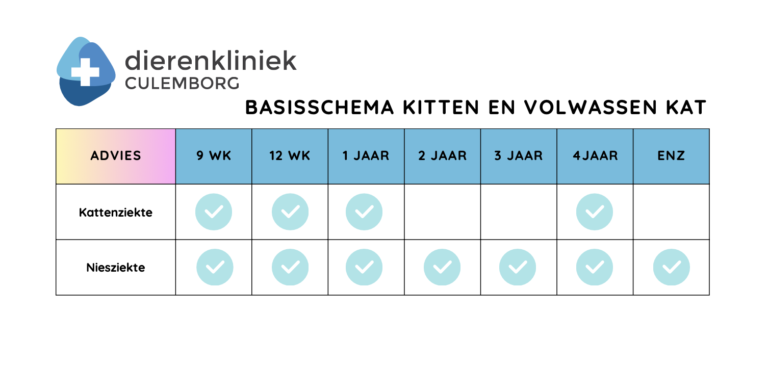 Basisschema vaccinatie kitten en kat