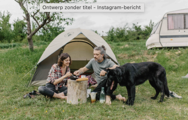 vaccinatie hond vakantie