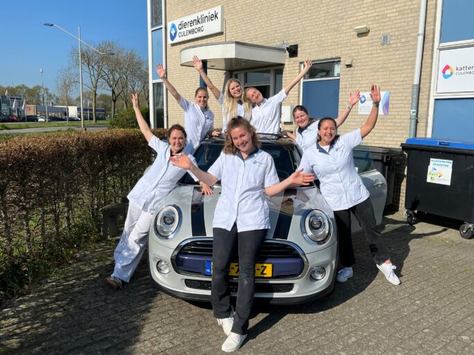 Blog visite rijden thuisbezoek Dierenkliniek Culemborg